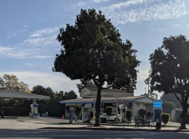 a big tree under the cloudy sky